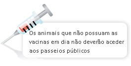 conselhos cachorro